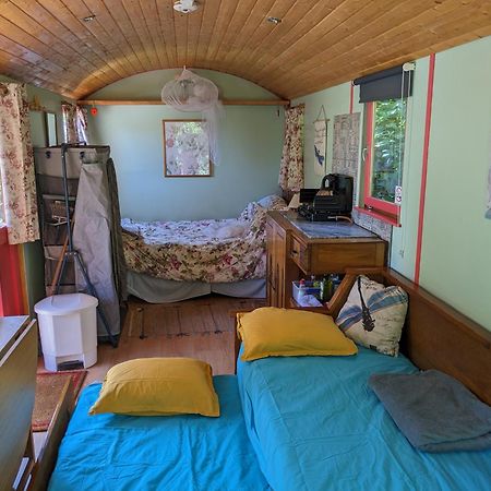 Rosa The Cosy Cabin - Gypsy Wagon - Shepherds Hut, River Views Off-Grid Eco Living Pedrogao Grande Extérieur photo