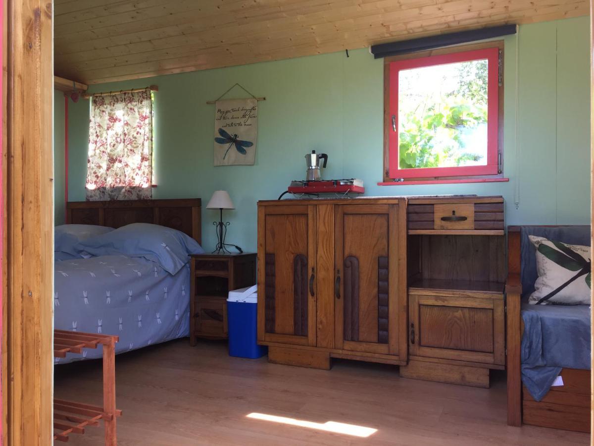 Rosa The Cosy Cabin - Gypsy Wagon - Shepherds Hut, River Views Off-Grid Eco Living Pedrogao Grande Extérieur photo