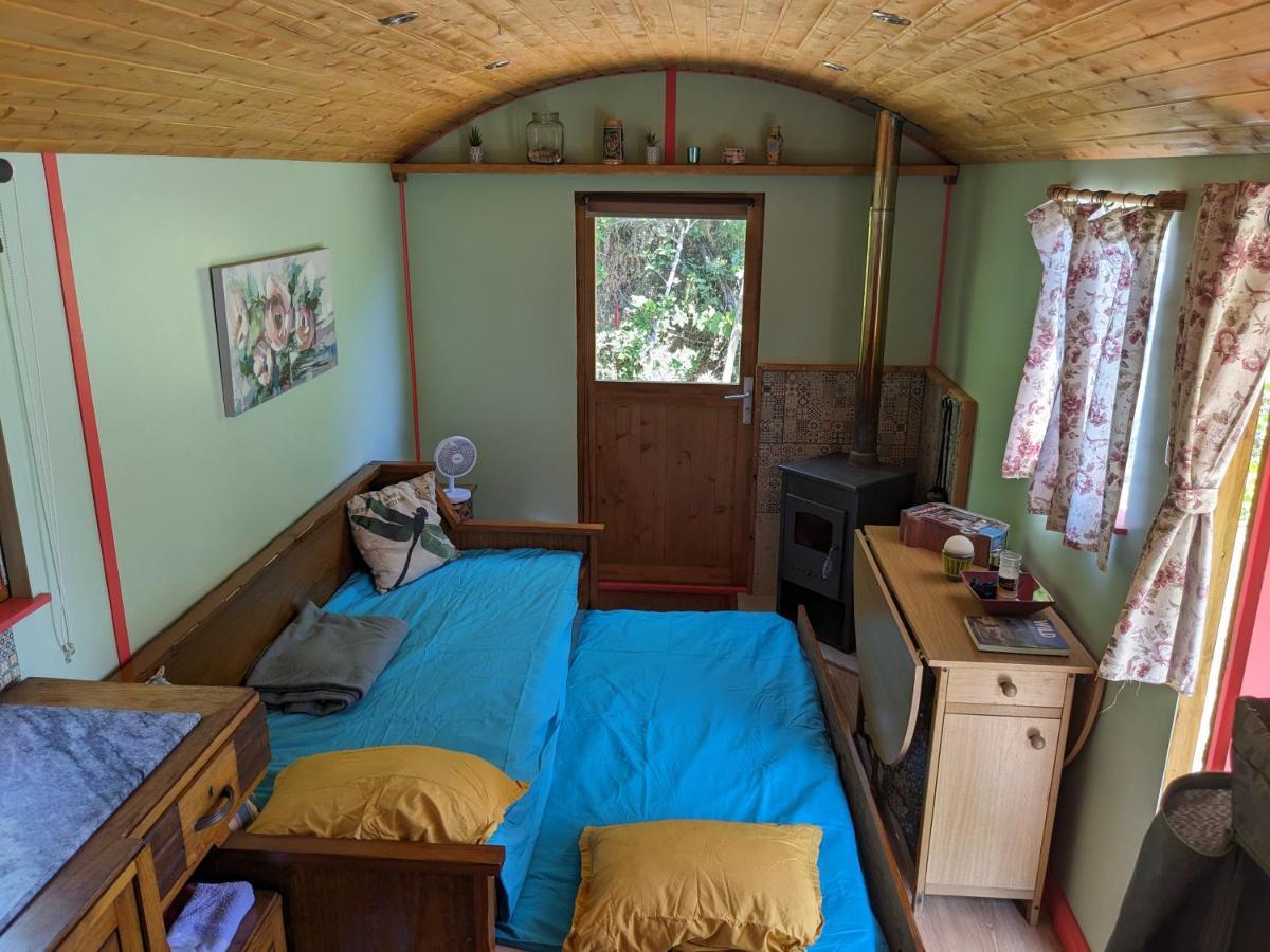 Rosa The Cosy Cabin - Gypsy Wagon - Shepherds Hut, River Views Off-Grid Eco Living Pedrogao Grande Extérieur photo